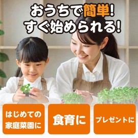 Artec 102937 Home Fun Cultivation Kit Green Peppers