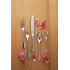 Fortessa Medici 18/10 Stainless Steel Flatware Tea/Coffee Spoon, Set of