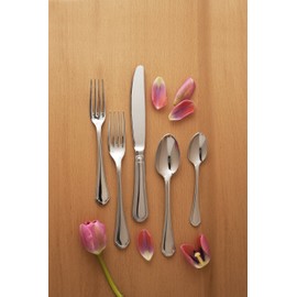 Fortessa Medici 18/10 Stainless Steel Flatware Tea/Coffee Spoon, Set of 12
