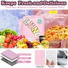 FlowFly Lunch box Insulated Soft Bag Mini Cooler Back to