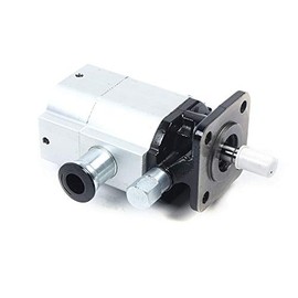 GDAE10 13 GPM Hydraulic Log Splitter Pump, Hi-Lo Gear Pump 3000PSI 2 Stage 1/2" Shaft Parts for Small Engine Mounting Wood Splitter