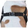 Cotton Web Adjustable Dog Step-in Harness 4 Sizes Black (XLarge: