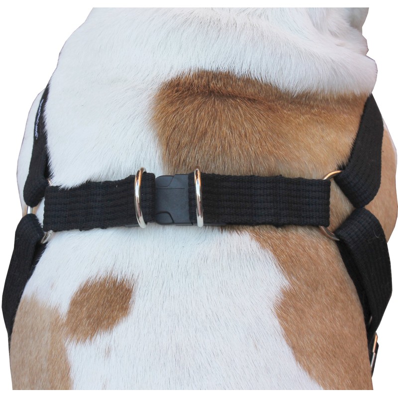 Cotton Web Adjustable Dog Step-in Harness 4 Sizes Black (XLarge: