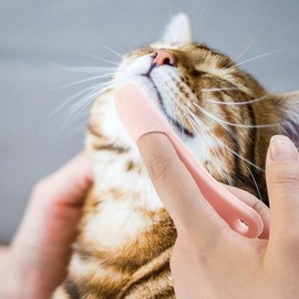 SellerHub PET Cat Chin Acne Brush for Chin Acne and Blackhead Management (S30683470) / PET 고양이 턱드름 브러쉬 꼬드름 블랙헤드 관리 (S30683470)