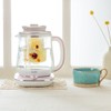 Aroma Professional AWK-701 16-in-1 Nutri-Water, Green, Fruit, Flower Tea, Coffee,