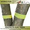 W4W, Spotted Lantern Fly Tree Trap - 4 Rolls (30