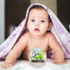 Dinosaur Baby Monthly Milestone Circles, Baby Months Wooden Disc Stuff