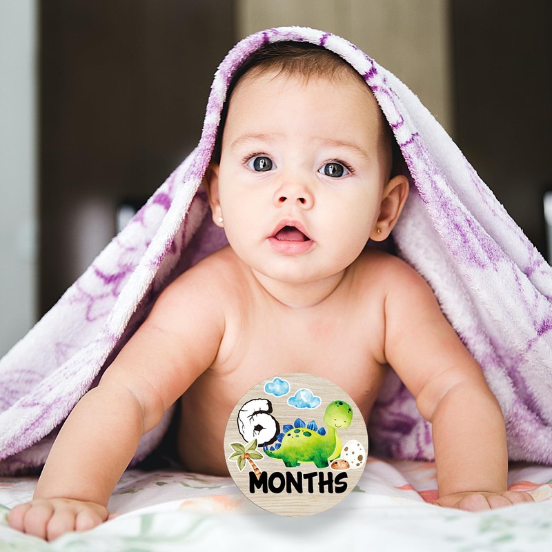 Dinosaur Baby Monthly Milestone Circles, Baby Months Wooden Disc Stuff