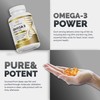 Iron Genetica Omega 3 Fish Oil – High Concentration EPA