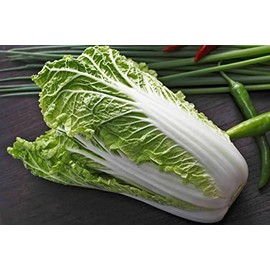Michihili Chinese Cabbage Seeds for Planting - Napa Heirloom, Non-GMO Vegetable Variety- [Mai's Family] 1 Gram Seeds Great for Summer, Spring, Fall and Winter Gardens by Gardeners Basics