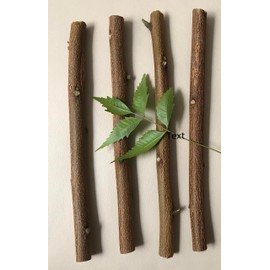 Goodluck Ganesha Ayurvedic, Natural Organic Neem Datun, Nim Tree Twigs, Fresh Cut Neem, Nimba Chew Sticks, Natural Toothbrush, Dataun, Datoon, Product of USA. 4 Sticks in Each Pack.