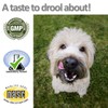 Vet Worthy Stop Stool Ingestion Liver Flavored Chewables for Dogs