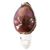 Seashell Night Light Purple Top Tiger Cowrie Beach Decor w.