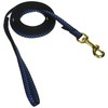 6' Pet Leash - Extra Small - Step 1 Blue