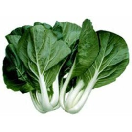 Seed Kingdom Cabbage Pak Choi White Stem 2,500 Seeds Heirloom Garden Vegetable