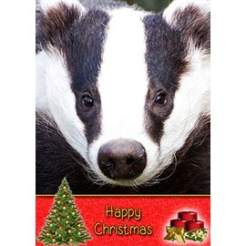 Badger Wild Animal Christmas Card 'Happy Christmas' - Special Xmas Card for Him Her Kids Male Female