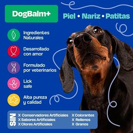 Dogelthy Dog Balm. Balsamo Hidratante para Perros. Balsamo para Perros para Mantiener la Piel, Patas y Nariz Libre de Resequedad. Pet Balm Hecho de Aceite de Coco, Almendra y más de 50g (Stick)
