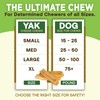 EcoKind Premium Gold Yak Cheese Himalayan Dog Chews, Healthy Dog