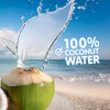 Jans Coconut Water, No Sugar Added (12-Pack 16.57 Fl Oz)