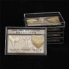 Namvo Set of 3pcs Natural Fossil Shark Tooth Specimen Natural