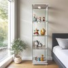 WRTEYEUI Glass Display Cabinet, 4-Tier Curio Storage Cabinet Glass Display