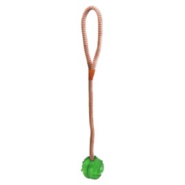 TOYOTA ECHO (Platz) K – 9 Ball , green