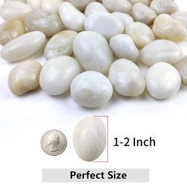 YISZM 10lbs White River Rocks, 1-2 Inch Natural Pebbles for Indoor Plants, High Polished Decorative Stones Vase Filler Fish Tank Aquariums Landscaping Garden Outdoor and Indoor DIY