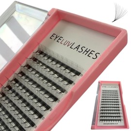 Russian Premade Lashes 10D C Curl 8-15 Mix Length Pre Made Lash Fans Volume Lashes Promade Lash Extensions Pre Made Lash Fans Eyelash Tray (10D 0.05 C Curl 8-15 Mix)