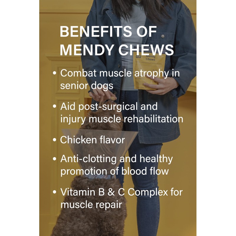 KVP Mendy Chews Multivitamin Treats for Dogs - Joint Support