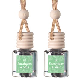 CANDECraftCo Car Air Hanging Fragrance Oil, Car Auto Freshener for Essential Oils, Scents Fragrance Aromatherapy Automobile Diffuser, Long Lasting (Eucalyptus & Mint)