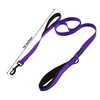 Wagtime Club Soft &Thick Dual Handle 6FT Dog Leash, Premium