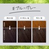 Liese Kao Bubble Hair Color - Blue Gray for Black