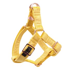 ARING PET Yellow Dog Harness, Soft and Comfortable Velvet Dog Harness with Adjustable Heavy Duty Metal Buckle for Boy and Girl Dogs, X-Small
