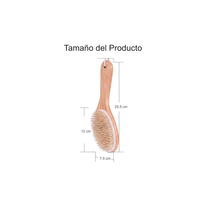 Cepillo Corporal Madera Bambu Natural Cerdas Naturales Resistentes Exfoliacion Masaje