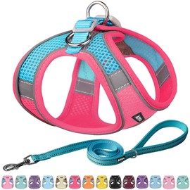 AIITLE No Pull Dog Harness and Leash Set, Step in Adjustable Dog Harness with Padded Vest for All Weather, Dog Leash with Soft Padded Handle, Easy to Put on Small and Medium Dogs Hot Pink S