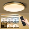 Lightania 15 Inch Flush Mount Ceiling Light with Remote Control