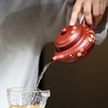 Zisha Teapot 8.8 Oz Yixing Clay Handmade Teapot with Filter,Chinese