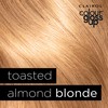 Clairol Colour Gloss Up Conditioner, Toasted Almond Blonde, 130ml