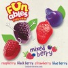 Funables Fruity Snacks, Mixed Berry Flavored Snacks, 0.8 oz 22