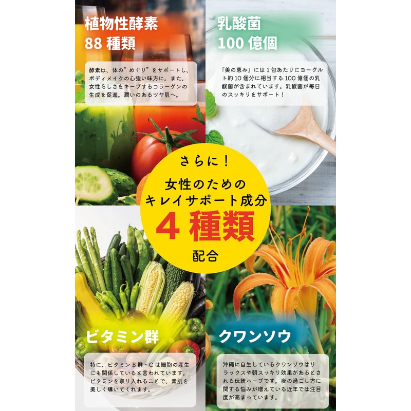 【 沖縄産 発酵 モリンガ 100% 】美らの恵み フルーツ 青汁 無添加 無農薬