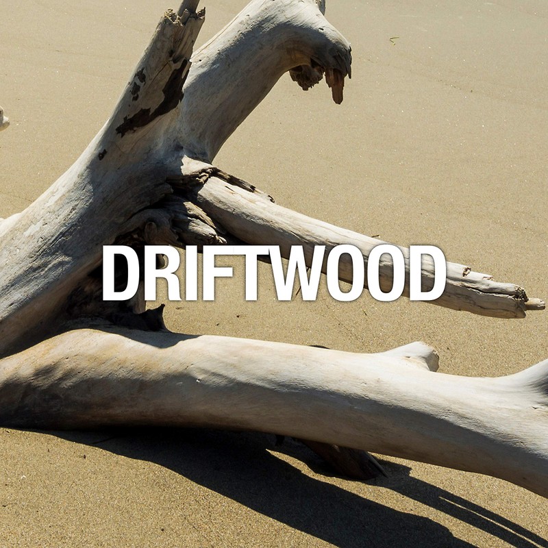 Curve Wave Eau De Toilette Spray, Perfume for Women, Gift