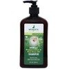 DERMagic Peppermint & Tea Tree Oil Shampoo 12 fl. oz.