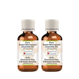 Greenwood Essential Pure Sweet Wormwood Essential Oil (Artemisia annua) Steam Distilled (Pack of Two) 50ml X 2 (3.38 oz)