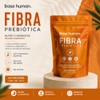 FIBRA PREBIOTICA NATURAL NUTRE TU MICROBIOTA PROBIOTICOS