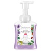 Reckitt Benckiser Hand Soap, Foam Muss Botanical Body, 8.5 fl oz (250 ml)