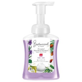 Reckitt Benckiser Hand Soap, Foam Muss Botanical Body, 8.5 fl oz (250 ml)
