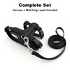 Plutus Pet Adjustable Cat Harness and Lead Set, Quick Release,