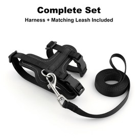 Plutus Pet Adjustable Cat Harness and Lead Set, Quick Release, Escape Proof Nylon Vest with Leather Trim for Kitten, Small Medium Large Cats, Black