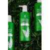 Vreeksha Curry Leaves Hair Shampoo