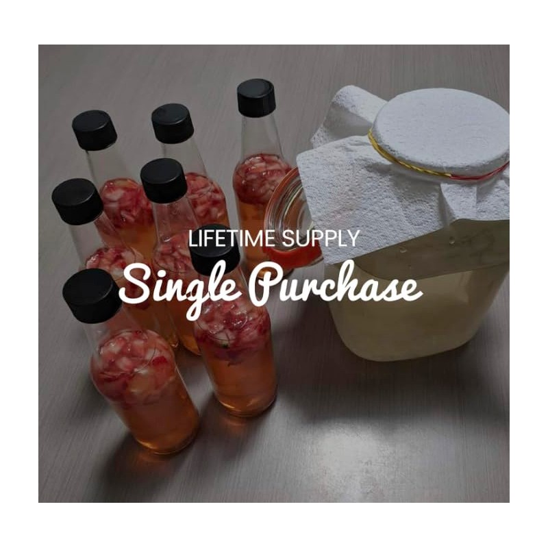 Freshly Fermented - Organic Water Kefir Grains (20g)
